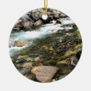 Search for fish christmas tree decorations River