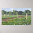 Search for bluebonnets art Flowers