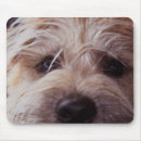 Search for puppy mousepads Red