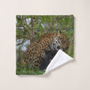 Search for panthera onca Spots