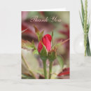 Search for rose bud cards Flora
