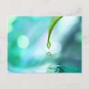 Search for reiki cards invites Healer
