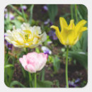 Search for white tulips stickers Flowers