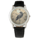 Search for crow watches Wildlife