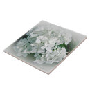 Search for white hydrangeas tiles Flowers