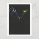 Search for chats postcards Gato
