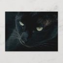 Search for black panther postcards Feline
