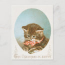 Search for victorian cat postcards Kitten