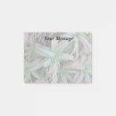 Search for succulents post it notes Nature