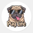 Search for pug lovers stickers Life