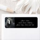 Search for manes Equine