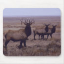 Search for bull elk mousepads Hunting