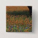 Search for bluebonnet badges Usa