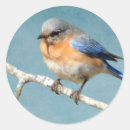 Search for bluebird art stickers Animal