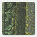 Search for national forest stickers Nature