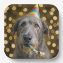 Search for dog paper plates Cute