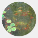 Search for pond fish stickers Goldfish