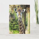 Search for giraffe jokes Animal
