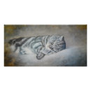 Search for catlovers posters Cats