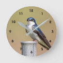 Search for bicolor art Wildlife