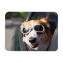 Search for dog car magnets Canine
