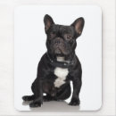 Search for bulldog mousepads Canine