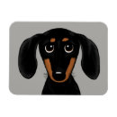 Search for dachshund magnets Wiener dog