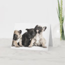Search for pug puppy dog cards Adorable