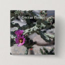 Search for cacti badges Photography