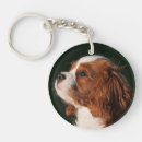 Search for spaniel puppy key rings Dog lover