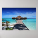 Search for maldives posters Tropical