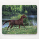 Search for thoroughbred mousepads Standing