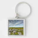 Search for davies key rings Landscape