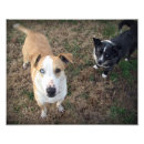 Search for mutt printed posters Mutts