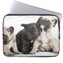 Search for pug laptop cases Cute