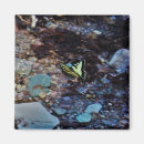 Search for flutter magnets Yellow