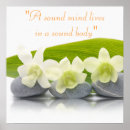 Search for holistic Meditation