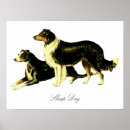 Search for sheep dog posters Dogs