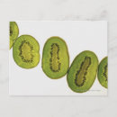 Search for fruit slices postcards Food