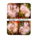 Search for weeds magnets Seeds