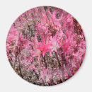 Search for amaryllis magnets Pink