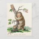 Search for bizarre postcards Illustration