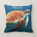 Search for loggerhead turtle Cute