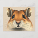Search for cute gerbil postcards Animal