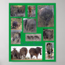 Search for elephant art Zebra