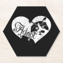Search for adopt coasters Cat