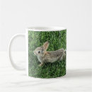 Search for cottontail rabbit mugs Cute