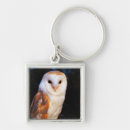 Search for two birds key rings Outdoors