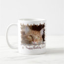 Search for ginger mugs Kitten