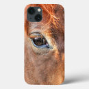 Search for chestnut cases Horse ranch